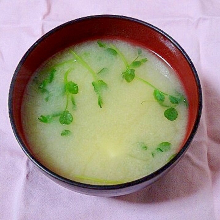 うちの味噌汁「水出にぼしだしで豆腐と豆苗の味噌汁」